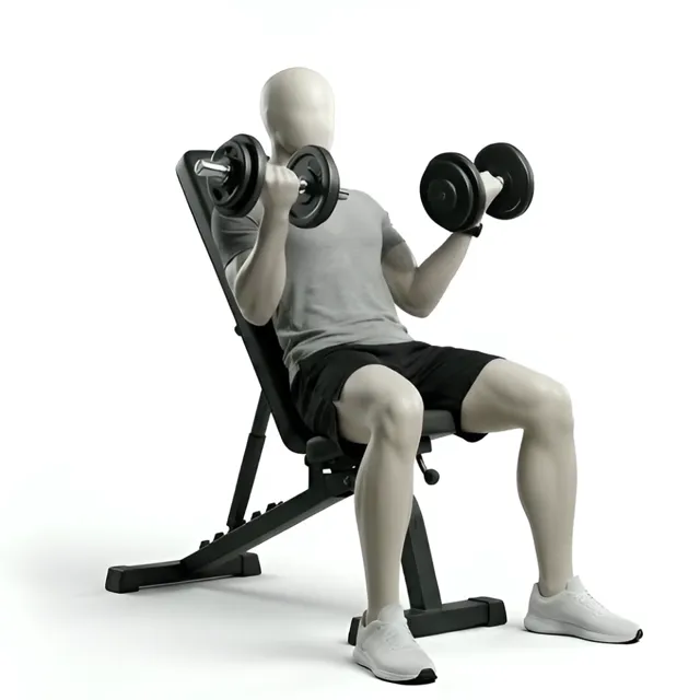 incline dumbbell curl — starting position