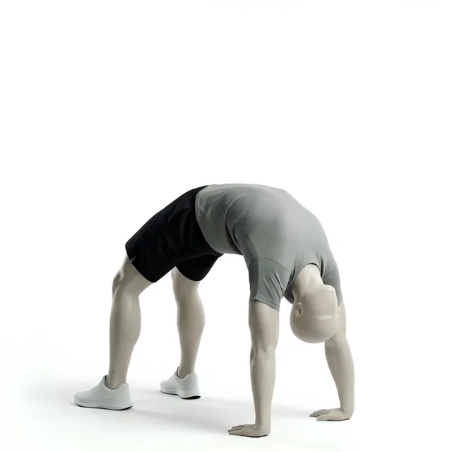 Lonero tam tekerlek girişi - tekerlek hazırlık köprüsü — starting position