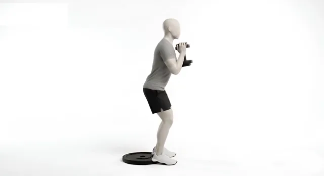 Dumbbell Elevated Goblet Squat — starting position