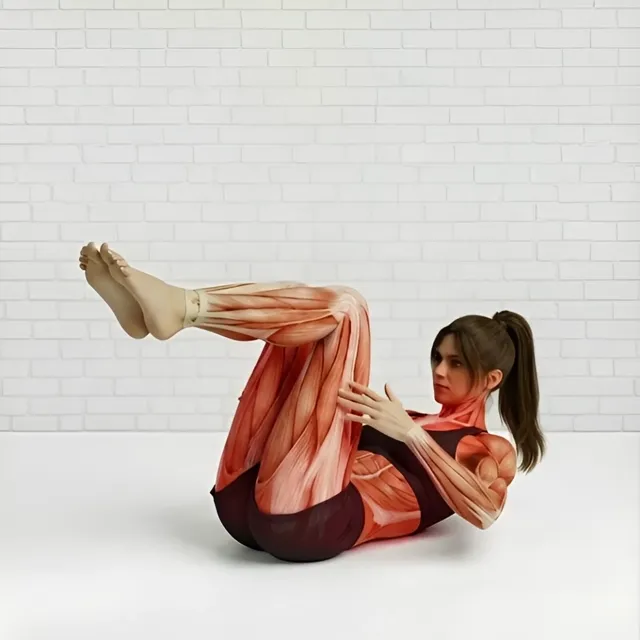 dizler bükülü v sit-up — starting position