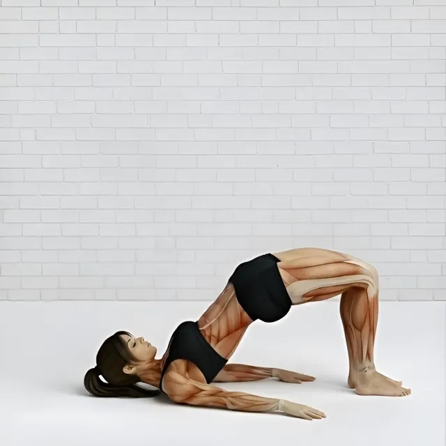 Bridge glutes with reverse crunch — starting position