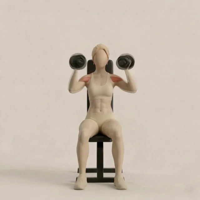 Arnold Press — starting position
