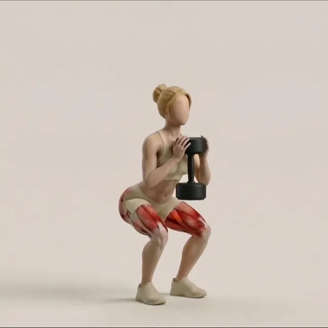 Goblet Squat — starting position