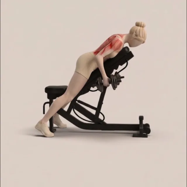 chest supported dumbbell rows — starting position