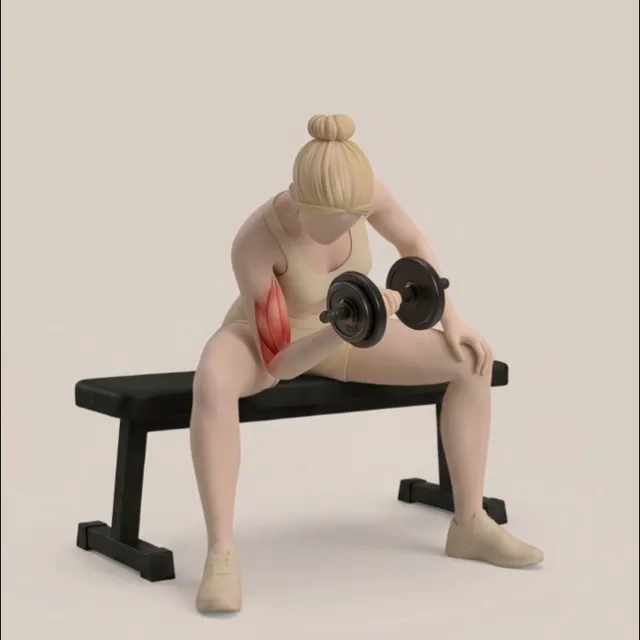dumbbell concentration bicep curl — starting position