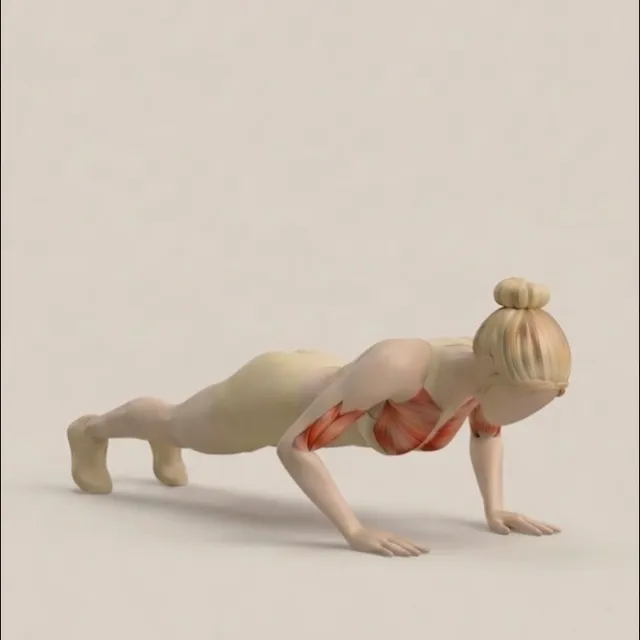 close grip triceps push-up — starting position