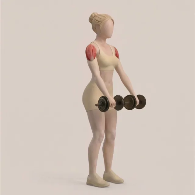 Dumbbell Front Raise — starting position