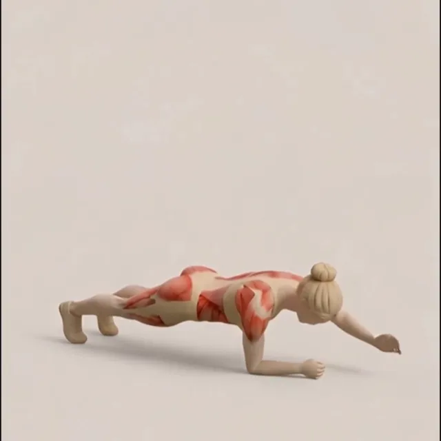 Lonero plank with reach — starting position