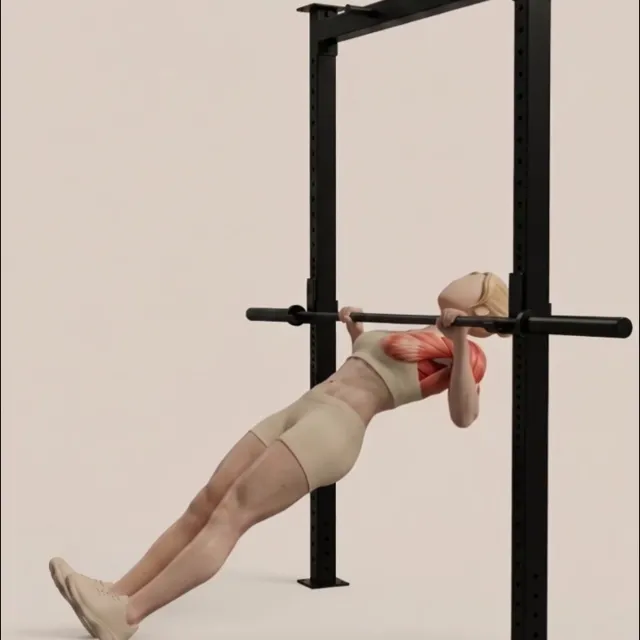 inverted row — starting position