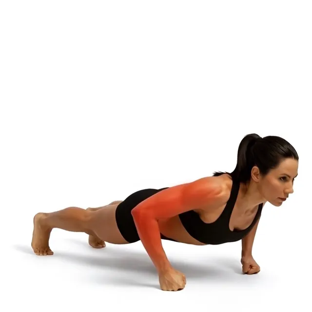 Knuckle Push Ups — starting position