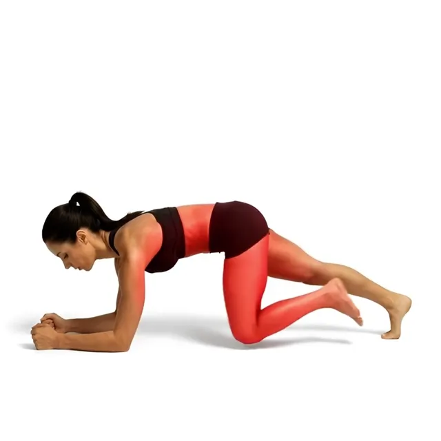 Plank Knee To Chest — starting position