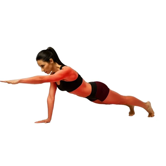 Plank Reach — starting position