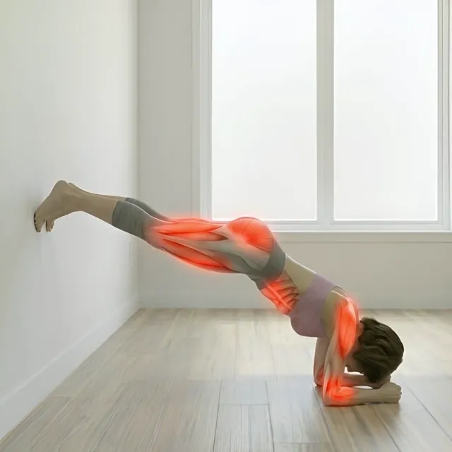 wall decline elbow plank hold — starting position